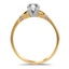 The Corbett Ring, smallside view