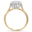 The Florentia Ring, smallside view