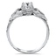 The Bangor Ring, smallside view