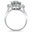 The Strelitzia Ring, smallside view