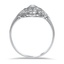 The Valrie Ring, smallside view