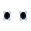 The Twana Earrings