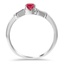 The Shaw Ring, smallside view