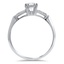 The Ottawa Ring, smallside view