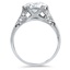The Beaux  Ring, smallside view