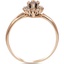 The Harley Ring, smallside view