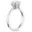 Platinum Caliana Ring, smallside view