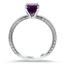 The Bolinas Ring, smallside view