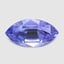 11.0x5.8mm  Bi-Color  Marquise   Tanzanite