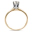 The Istas Ring, smallside view