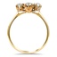 The Bartlett Ring, smallside view