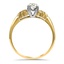 The Oakridge Ring, smallside view