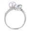 The Hawaii Ring, smallside view