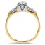 The Reiko Ring, smallside view