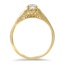 The Lishe Ring, smallside view