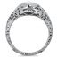 The Fellini Ring, smallside view