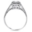 The Nida Ring, smallside view