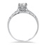 The Carterton Ring, smallside view
