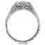 The Monroe Ring, smallside view