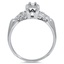 The Tarana Ring, smallside view