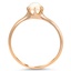 The Pratt Ring, smallside view