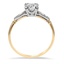 The Nexpa Ring, smallside view