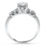 The Moira Ring, smallside view