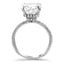 Double Surprise Halo Diamond Ring, smallside view