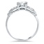 The Alford Ring, smallside view