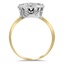 The Chestnut Ring, smallside view