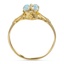 The Kat Ring, smallside view