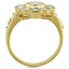 The Albany Ring, smallside view