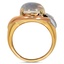 The Erela Ring, smallside view