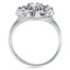 The Courtney Ring, smallside view