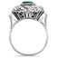 The Nerine Ring, smallside view