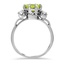 The Zitella Ring, smallside view