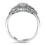 The Scotland Ring, smallside view