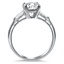 The Trystan Ring, smallside view