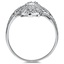 The Leitha Ring, smallside view