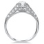 The Fia Ring, smallside view