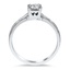 The Chatteris Ring, smallside view