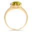 The Ghent Ring, smallside view