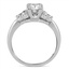 The Buckley Ring, smallside view