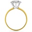 The Ziva Ring, smallside view