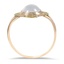 The Grazyna Ring, smallside view