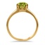 The Argentine Ring, smallside view