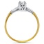 The Olivienne Ring, smallside view
