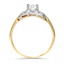 The Dorene Ring, smallside view
