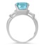The Jannelle Ring, smallside view