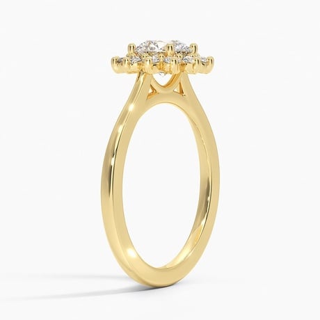 Sunburst Halo Engagement Ring - Brilliant Earth